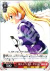 DC/W23-T11 TD 個人レッスン エリカ
