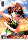 DC/W23-T13 TD 楽しい時間 音夢