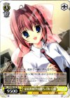 DC/W23-101 TD 家庭教師のお姉ちゃん 音姫