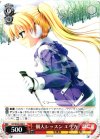 DC/W23-058 U 個人レッスン エリカ