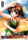 DC/W23-068 C 楽しい時間 音夢