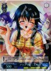 DC/W23-078S SR アツアツな二人 萌