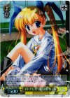 DC/W23-002R RRR オトナになった証拠 さくら