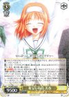  DC/W81-002 R 新しい毎日 美春 