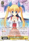 DC4/W81-060 U 新たに始まる物語 さくら