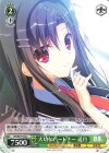 DS/W81-102 C 大切なパートナー 遥月