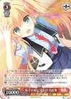  DS/W81-104 R 妹キャラのこだわり 乃絵里 