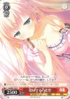  DS/W81-105 C 寝ぼける 乃絵里 
