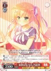  DS/W81-107 C 家族になろう 乃絵里 