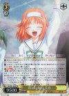 DC/W81-002S SR 新しい毎日 美春