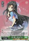 DS/W81-101S SR 一緒に過ごす時間 遥月