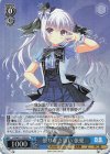 DS/W81-108S SR 曇りなき思い 依愛