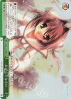 DC/W81-022R RRR おかえりなさい