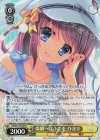DS/W81-P04S PR 楽園へようこそ ひまり