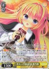 DC5/WE40-05 N 恋人って決めた日 愛乃亜
