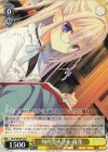 DC5/WE40-06 N 知的美人さん 瑞花