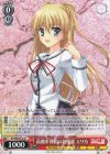  DC/WE40-30 N 高飛車異国のお姫様 エリカ 