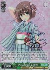 DC3/WE40-20DCP DCP やまとなでしこ 姫乃(箔押し入り)