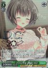 DC5/WE40-27DCP DCP アクセサリー教室 可子(箔押し入り)