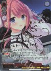 DC5/WE40-33SP SP 二人の大晦日 あいか(サイン入り)