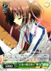  DC3/W18-024 R 正義の魔法使い 姫乃 