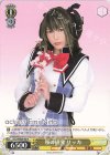 DC3/WE36-05 N 桜の研究 リッカ