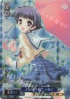 DC/WCE02-016 RE アジサイ畑のまゆき