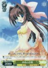 DC/W01-E01 R 水着の音姫