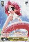 DC/W01-E04 C 水着の和泉子