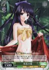 DC/W01-E09 C 水着の環