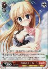  DC/WE02-010 R 水着のエリカ 