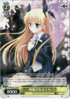  DC/WE02-019 PR 物憂げなさくら 