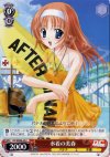  DC/WE08-39 C 水着の美春 