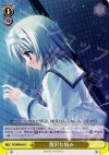  DC/WE08-49 C 贅沢な悩み 