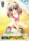  DC/WE08-79 PR 水着のアイシア 