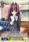  DC/W09-T02 TD 複雑なお年頃 音姫 