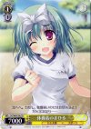  DC/W09-T06 TD 体操着のまひる 