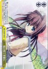  DC/W09-T08 TD 桜の咲く季節に 