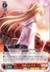  DC/W09-066 C 決意のエリカ 