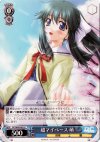 DC/W09-083 U 超マイペース 萌