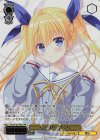  DC/W128-P05S PR 夢の中へ さくら(箔押し入り) 