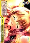 DC/WE20-16 CC 忘れないから