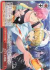 DCT/S86-074 CC プリン争奪戦