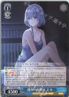 DCT/S86-089 U 運命の夜明け える