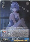 DCT/S86-089S SR 運命の夜明け える