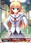  DC/WE30-22 RE 特別留学生エリカ 