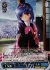 LB/WE30-34 S-R “ビーエルガール”美魚(ホロ)