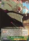  DDD/S118-T09 TD 呪いの力 オカルン 