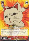 DDD/S118-064 U しまっていこーぜ ターボババア