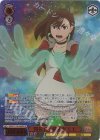 DDD/S118-048SP SP 開花した超能力 モモ(箔押し入り)
